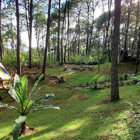 Cabana Rustica A 1Km De Cascada 马萨米特拉 外观 照片