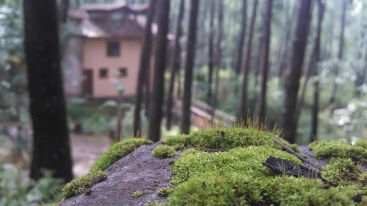 Cabana Rustica A 1Km De Cascada 马萨米特拉 外观 照片