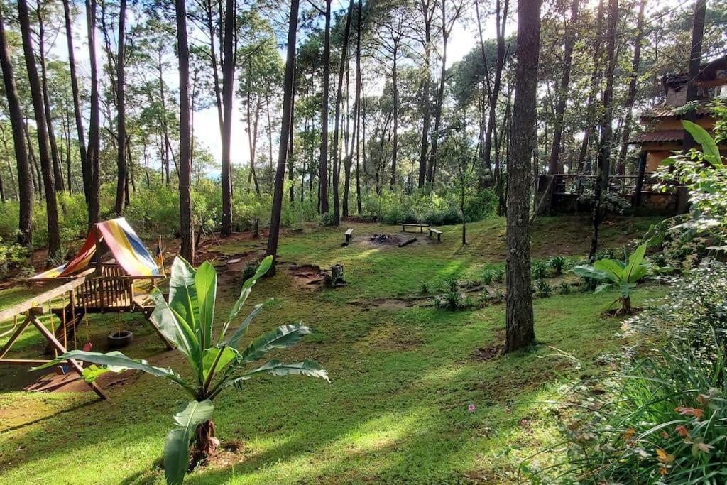 Cabana Rustica A 1Km De Cascada 马萨米特拉 外观 照片