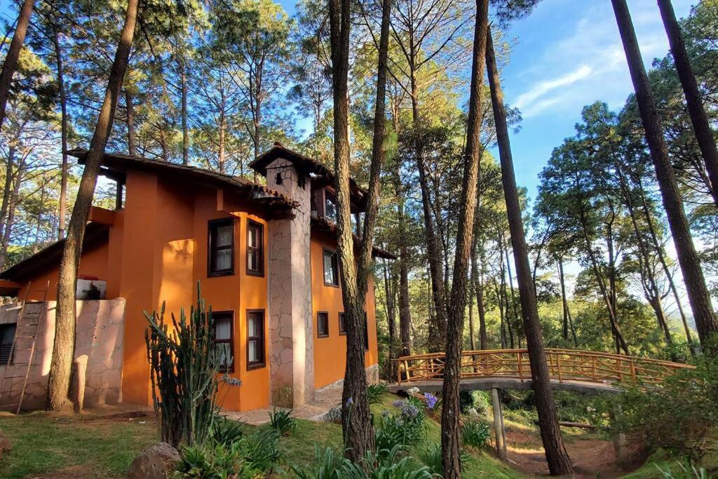 Cabana Rustica A 1Km De Cascada 马萨米特拉 外观 照片