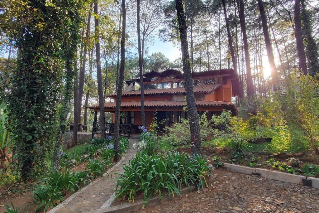 Cabana Rustica A 1Km De Cascada 马萨米特拉 外观 照片