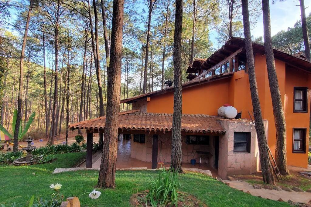 Cabana Rustica A 1Km De Cascada 马萨米特拉 外观 照片