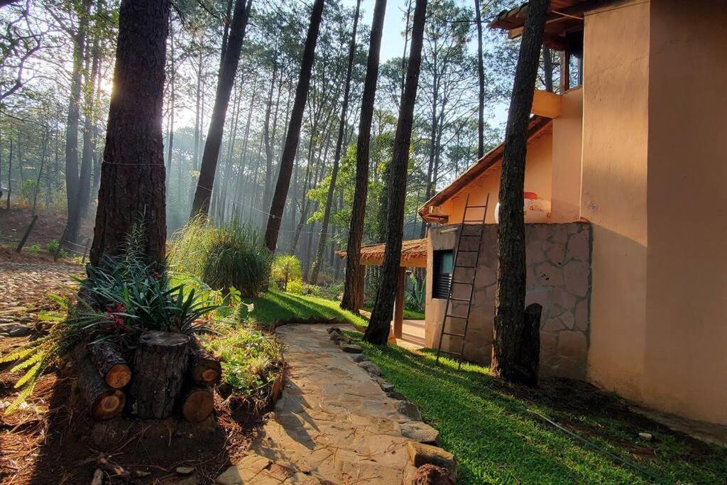 Cabana Rustica A 1Km De Cascada 马萨米特拉 外观 照片