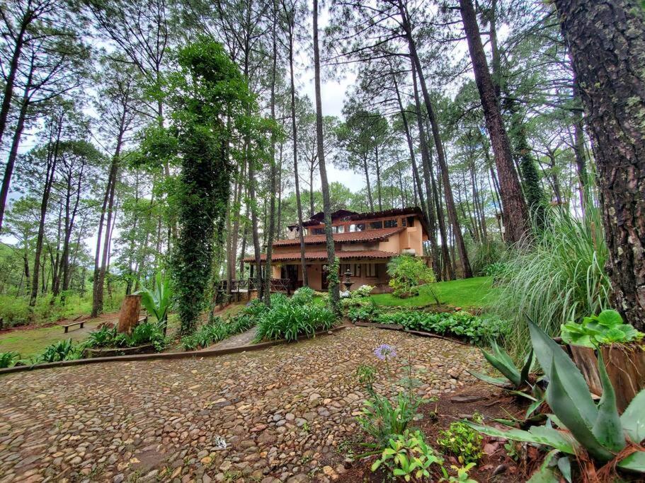 Cabana Rustica A 1Km De Cascada 马萨米特拉 外观 照片
