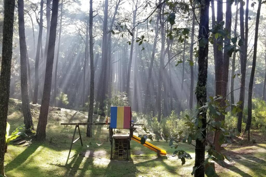 Cabana Rustica A 1Km De Cascada 马萨米特拉 外观 照片