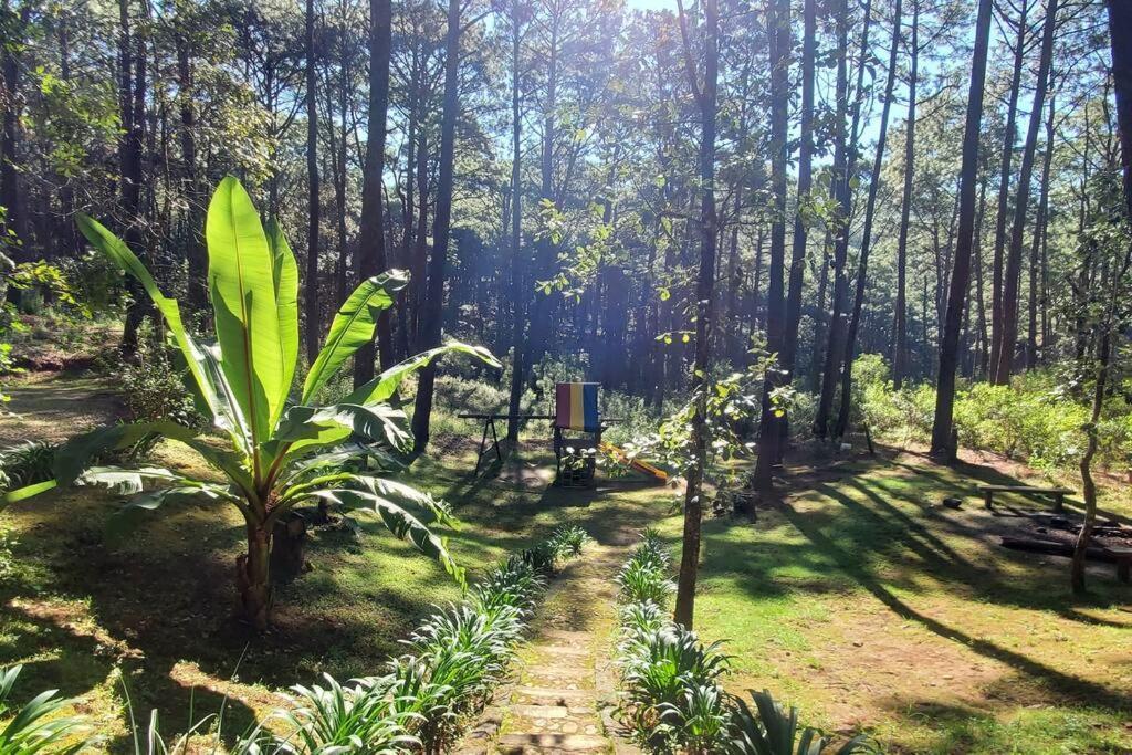 Cabana Rustica A 1Km De Cascada 马萨米特拉 外观 照片