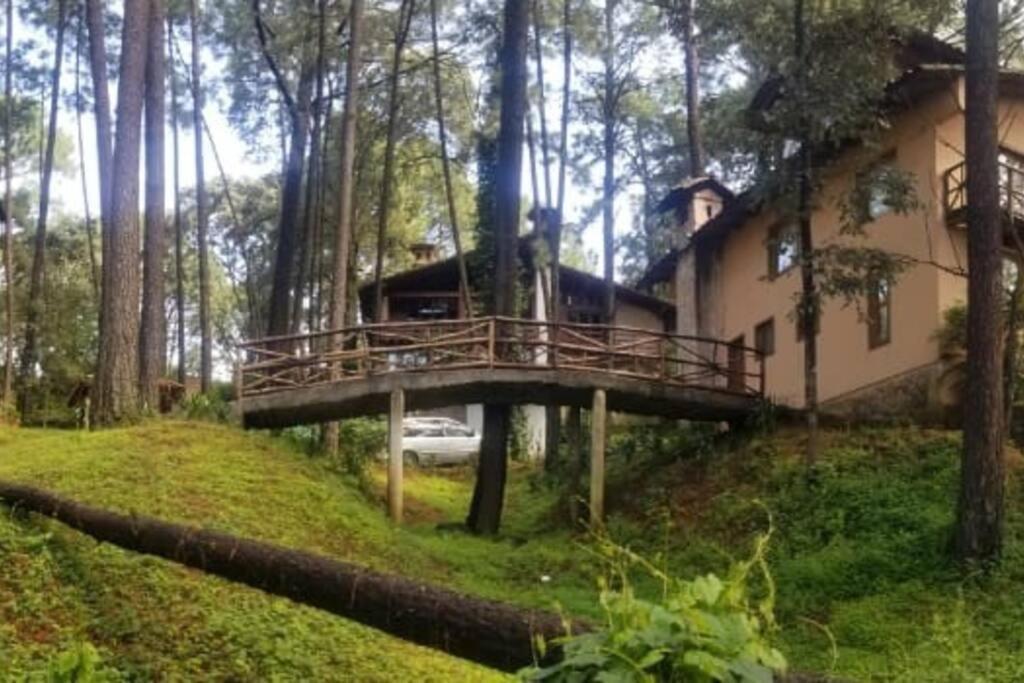 Cabana Rustica A 1Km De Cascada 马萨米特拉 外观 照片